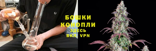 гидропоника Белокуриха