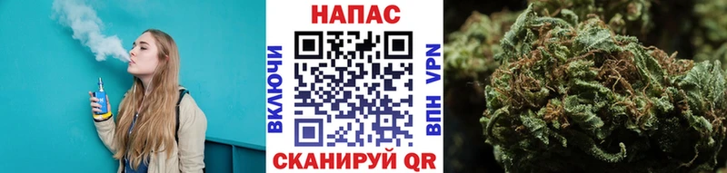 Бошки Шишки MAZAR  Высоковск 